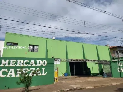 Imóvel Comercial à venda, 800m² no Brasília, Londrina