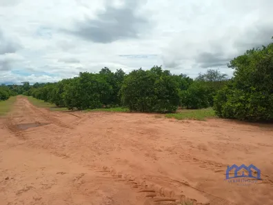 Fazenda/Sítio com 1 Quarto à venda, 1875500m² no Área Rural de Marília, Marília