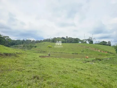 Fazenda/Sítio à venda, 115000m² no Macucos, Gaspar