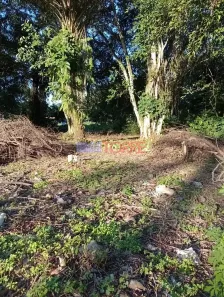 Lote/Terreno à venda, 10m² no Aritaguá, Ilhéus