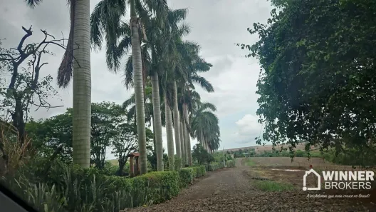 Fazenda/Sítio com 1 Quarto à venda, 1000m² no Jardim São Domingos, Maringá