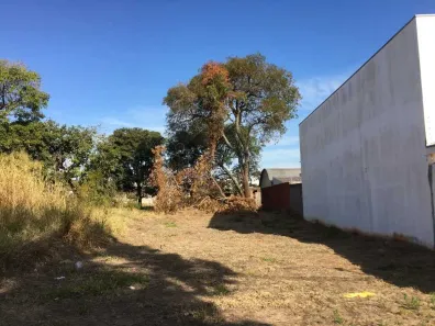 Lote/Terreno à venda, 300m² no Jardim Regina, Araraquara