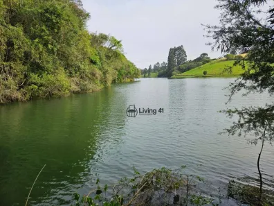 Fazenda/Sítio com 3 Quartos à venda, 22000m² no Vila David Antônio, Campo Largo