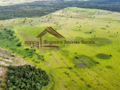 Fazenda/Sítio à venda, 1m² no , Formoso do Araguaia