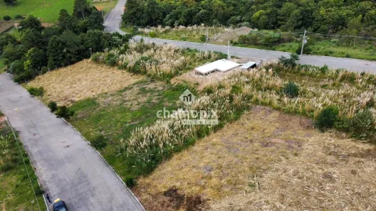 Lote/Terreno à venda, 345m² no , Flores da Cunha