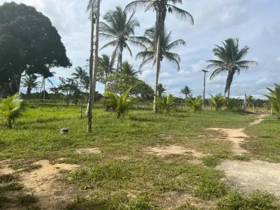 Fazenda/Sítio com 2 Quartos à venda, 34000m² no , Porto Seguro