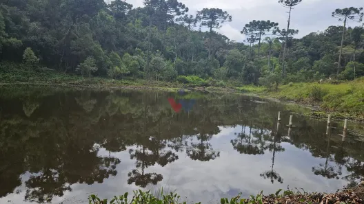 Fazenda/Sítio com 4 Quartos à venda, 600m² no Borda do Campo, São José dos Pinhais