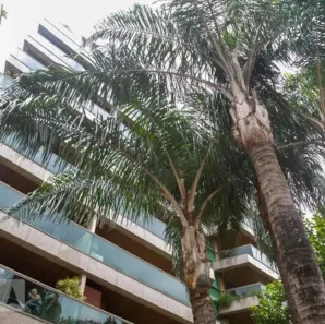 Apartamento com 2 Quartos à venda, 80m² no Ipanema, Rio de Janeiro