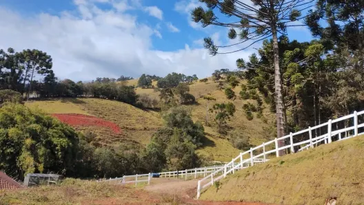 Lote/Terreno à venda, 1300m² no , Delfim Moreira