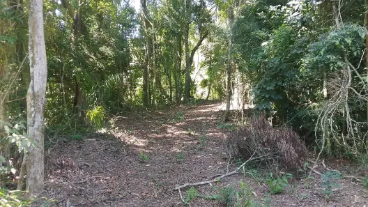 Fazenda/Sítio à venda, 20000m² no Ortizes, Piedade