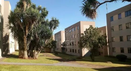 Apartamento com 3 Quartos à venda, 65m² no Lagoa Dourada, Londrina