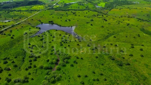 Fazenda/Sítio à venda, 1500000m² no Centro, Itabaiana