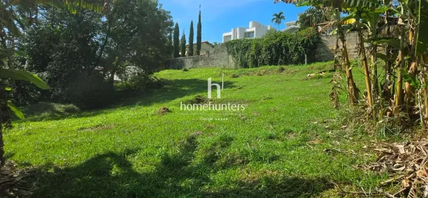 Lote/Terreno à venda, 530m² no Bairro das Palmeiras, Campinas