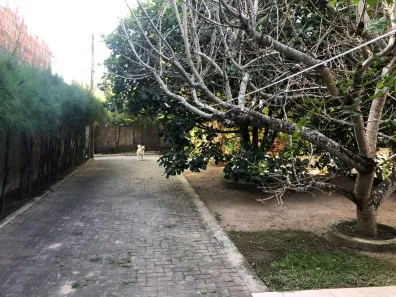 Casa com 3 Quartos à venda, 220m² no Gravatá Centro, Gravatá