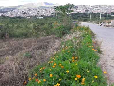 Lote/Terreno à venda, 200m² no Vila Belizário, São João Del Rei