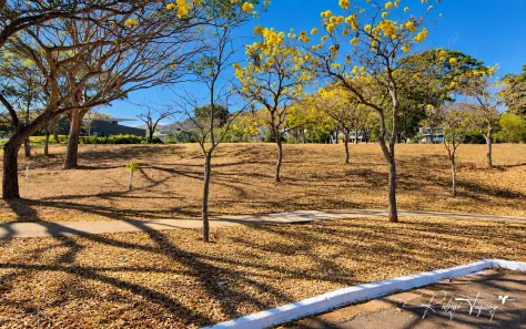 Lote/Terreno à venda, 1929m² no Residencial Aldeia do Vale, Goiânia