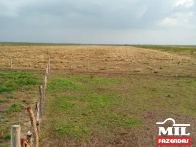 Fazenda/Sítio à venda, 11810m² no Zona Rural, Chapadinha