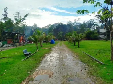 Fazenda/Sítio com 4 Quartos à venda, 12500m² no , Benevides