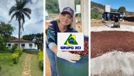 Fazenda/Sítio à venda, 1170000m² no , Bom Sucesso
