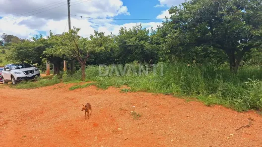 Fazenda/Sítio com 8 Quartos à venda, 230m² no Pedra Prata, Morungaba
