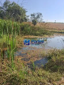 Fazenda/Sítio com 1 Quarto à venda, 151250m² no , Guaraci