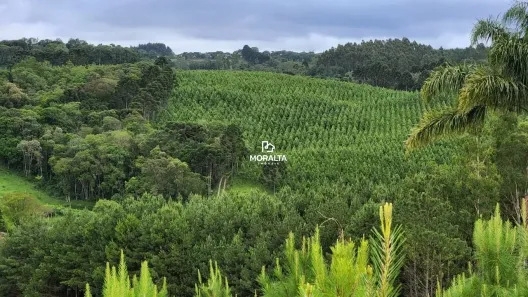 Fazenda/Sítio com 2 Quartos à venda, 305235m² no Ambrósios, Tijucas do Sul