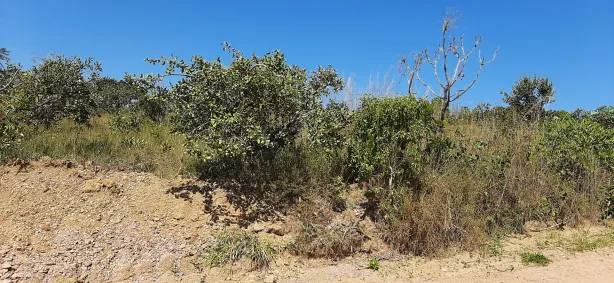Fazenda/Sítio à venda, 2500m² no , Alexânia