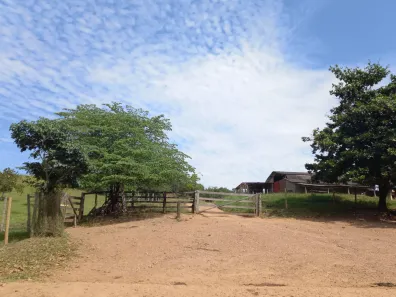 Fazenda/Sítio com 3 Quartos à venda, 100000m² no Centro, Caldas Novas