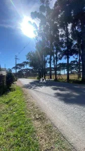 Lote/Terreno à venda, 262m² no Guarituba, Piraquara