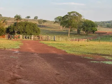 Fazenda/Sítio à venda, 10500000m² no Centro, Torixoréu