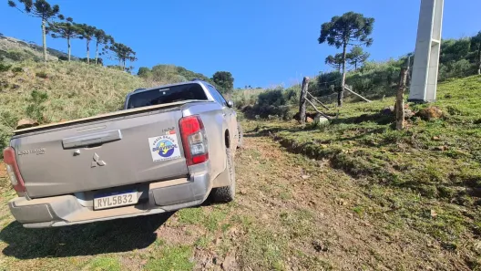 Fazenda/Sítio à venda, 42600m² no , Urubici