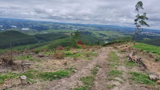 Fazenda/Sítio à venda, 6000m² no Centro, Igaratá