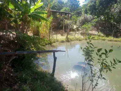 Fazenda/Sítio com 1 Quarto à venda, 1m² no , Corumbá de Goiás