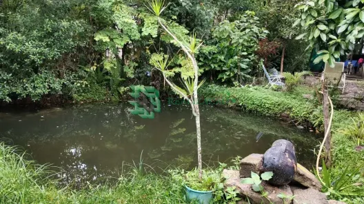 Fazenda/Sítio com 2 Quartos à venda, 100m² no Estância Antonio Novaes, Peruíbe