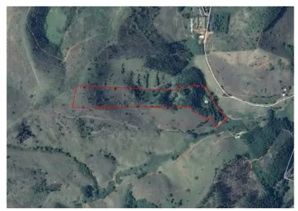 Casa com 1 Quarto à venda, 42514m² no Diamante de Ubá, Ubá