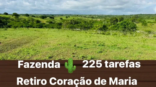 Fazenda/Sítio à venda, 980100m² no , Coração de Maria