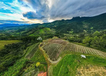 Fazenda/Sítio à venda, 784974m² no , São Bento do Sapucaí