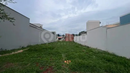 Lote/Terreno para alugar, 360m² no Centro, Santa Bárbara D'Oeste