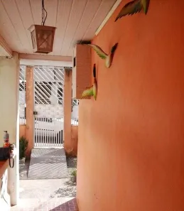 Lote/Terreno à venda, 297m² no Anchieta, São Bernardo do Campo