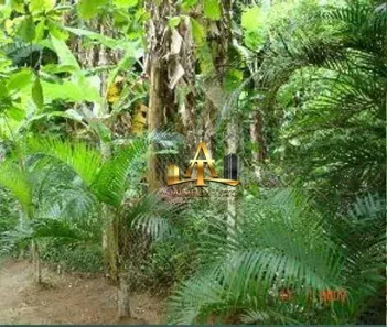 Lote/Terreno à venda, 6500m² no Pitangueiras, Guarujá