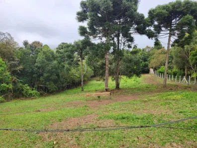 Lote/Terreno à venda, 2033m² no Borda do Campo, São José dos Pinhais