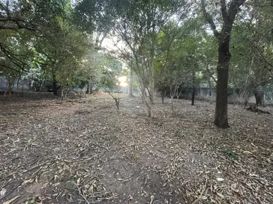 Lote/Terreno à venda, 1320m² no Trevo, Belo Horizonte