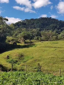 Fazenda/Sítio à venda, 109098m² no Area Rural, Águas Mornas