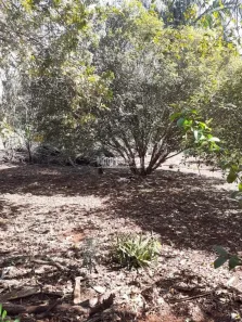 Lote/Terreno à venda, 3680m² no Indústrias Leves, Londrina
