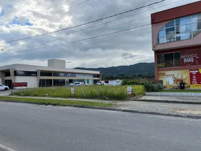 Lote/Terreno para alugar, 830m² no Bela Vista, Palhoça