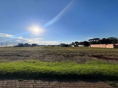 Lote/Terreno à venda, 390m² no Cancelli, Cascavel