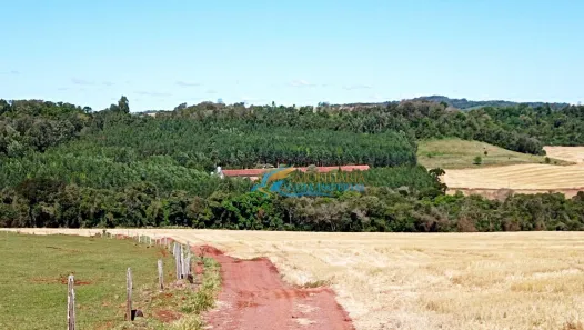 Fazenda/Sítio à venda, 1365m² no São Salvador, Cascavel