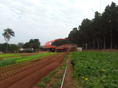 Fazenda/Sítio com 3 Quartos à venda, 46m² no Aparecidinha, Arealva
