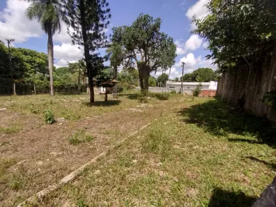 Lote/Terreno com 1 Quarto à venda, 4018m² no Aldeia dos Camarás, Camaragibe