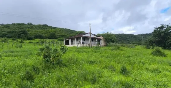 Fazenda/Sítio com 3 Quartos à venda, 280m² no São Francisco, Caruaru